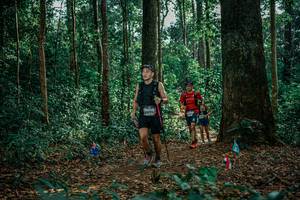 BIB: 
                            <button type="button" onclick="openModal(26132304)" class="btn btn-primary btn-sm float-right btn-popup" data-toggle="modal" data-target=".modal-high-quality">
                        <i class="fas fa-shopping-cart"></i> Add to Cart
                    </button>
                                            <button type="button" onclick="isThisMe(26132304, true)" class="btn btn-success btn-sm float-right btn-popup btn-isme hidden" data-toggle="tooltip" data-placement="bottom" title="นี่คือรูปของคุณใช่ไหม คลิกที่นี่เพื่อเอาเข้าอัลบั้ม">
                        <i class="fas fa-plus"></i> Add to album
                    </button>
                    <button type="button" onclick="isThisMe(26132304, false)" class="btn btn-warning btn-sm float-right btn-popup btn-isnotme hidden">
                        <i class="fas fa-ban"></i> Remove from album
                    </button>